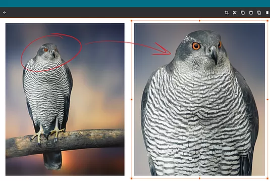 squid华为破解版