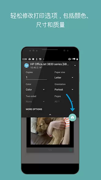 HP Print Service Plugin
