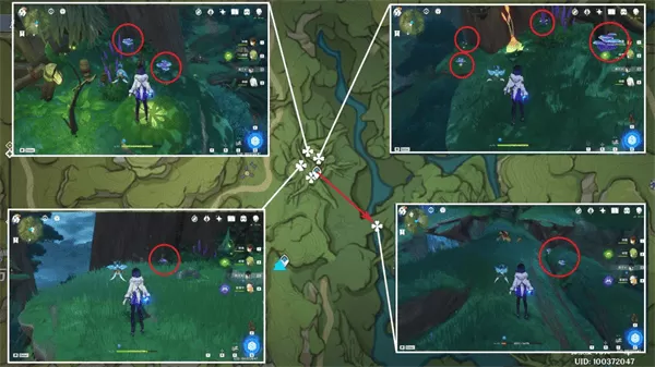 云原神国际服最新版