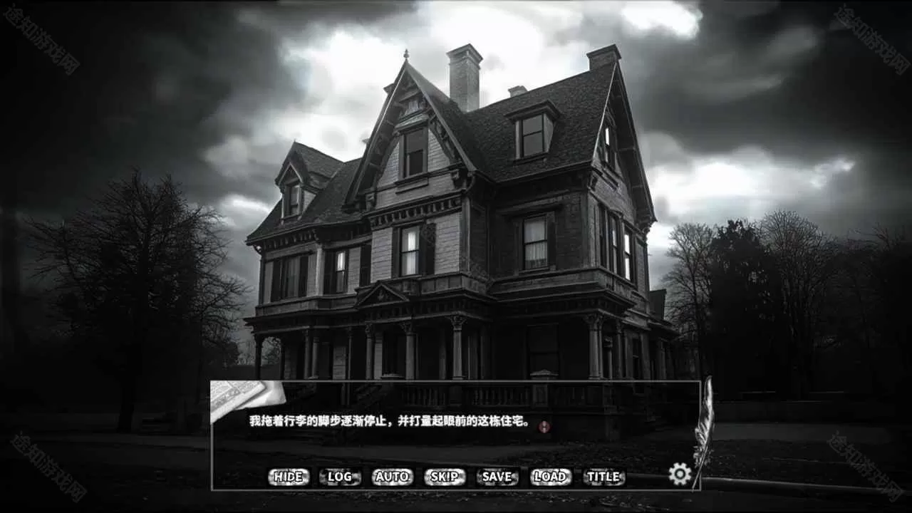 啮齿动物44号观察记录