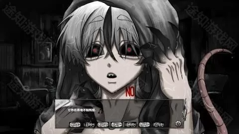 啮齿动物44号观察记录