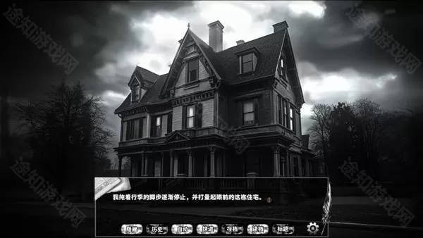 啮齿动物44号观察记录