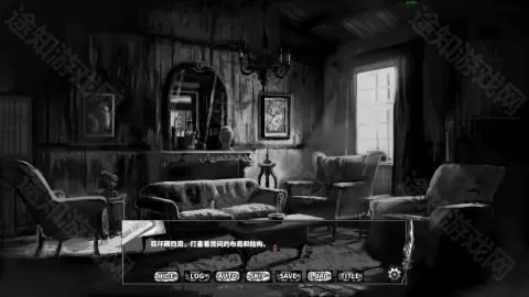 啮齿动物44号观察记录