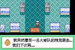 精灵宝可梦究极绿宝石