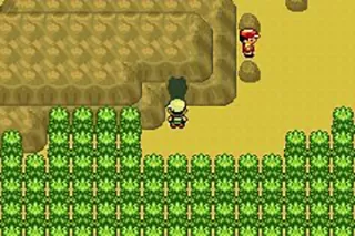 精灵宝可梦究极绿宝石