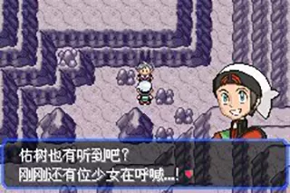 精灵宝可梦究极绿宝石