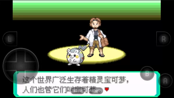 精灵宝可梦究极绿宝石