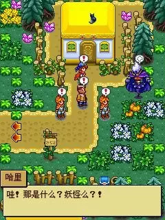 宠物王国5 宠物王国5