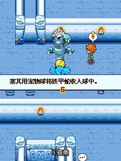 宠物王国5 宠物王国5